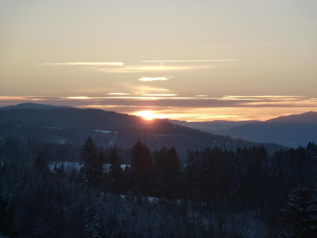 Gasthaus Sonne Neuhaeusle Sankt Märgen Dış mekan fotoğraf