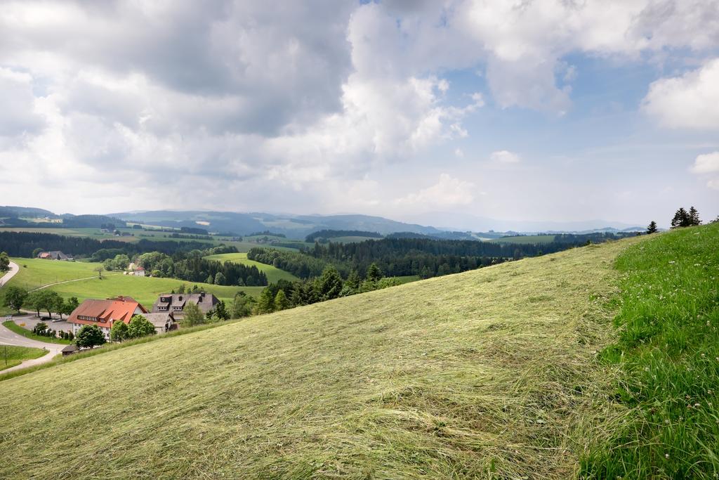 Gasthaus Sonne Neuhaeusle Sankt Märgen Dış mekan fotoğraf